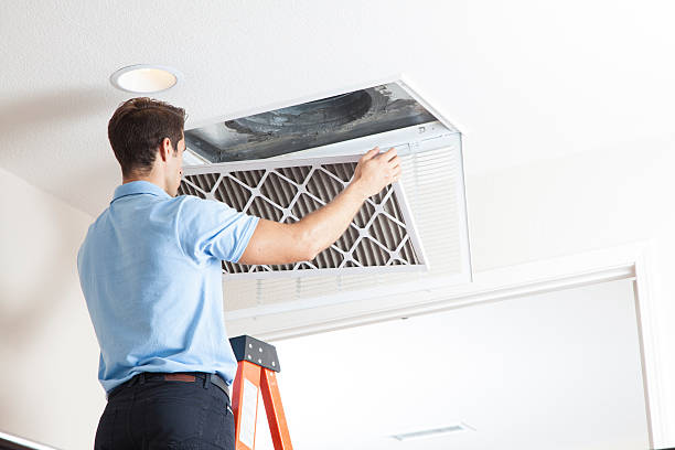 Best Air Filters and Purifiers in Clifton, IL